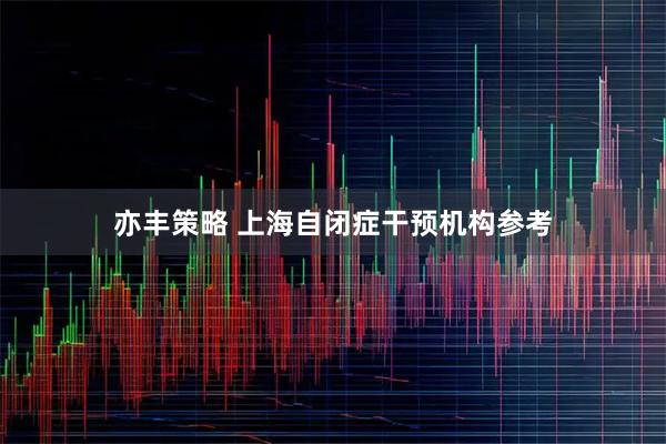 亦丰策略 上海自闭症干预机构参考